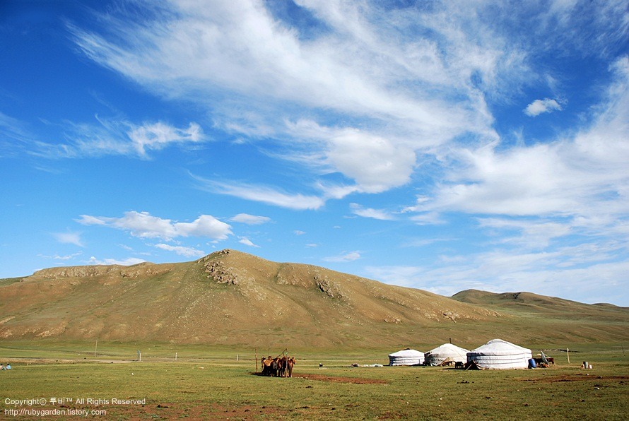 몽골초원.jpg