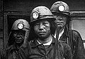 Miners.jpg