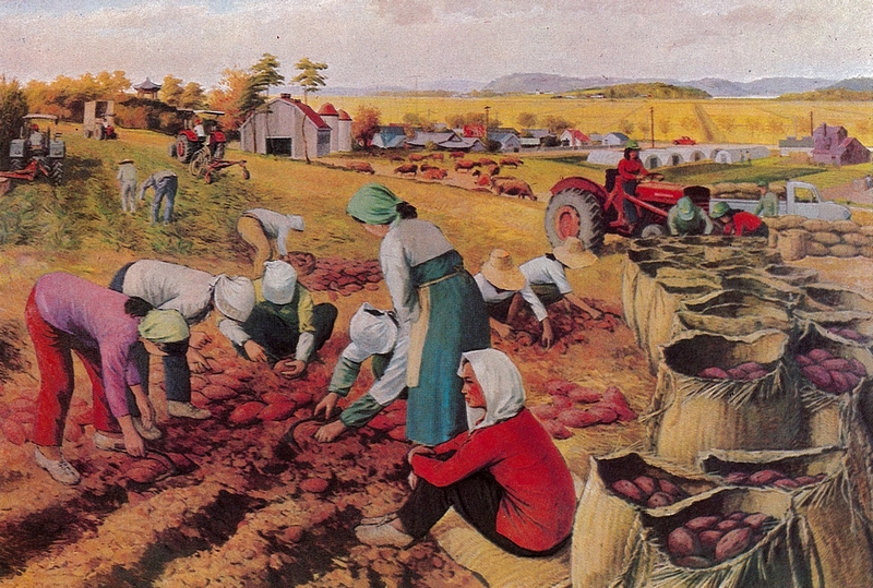 이인영 「협업영농새마을(개곡리)」 1973