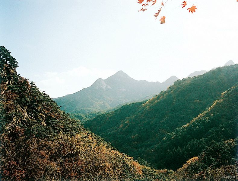 파일:민족기록화 장소 구월산 01.jpg