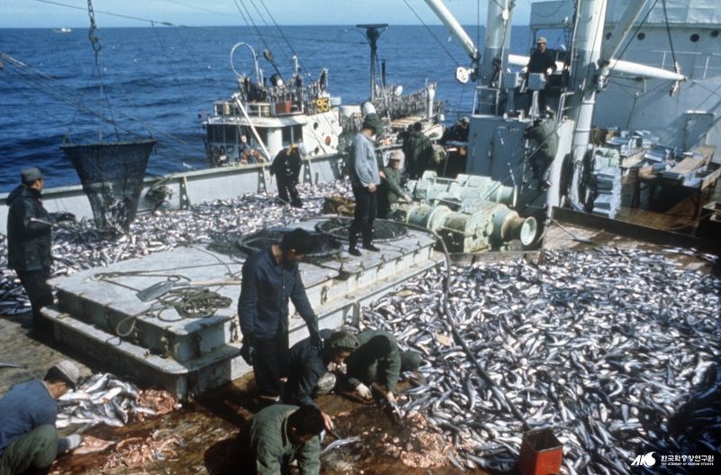 파일:민족기록화 개념 원양어업 조업장면01.JPG