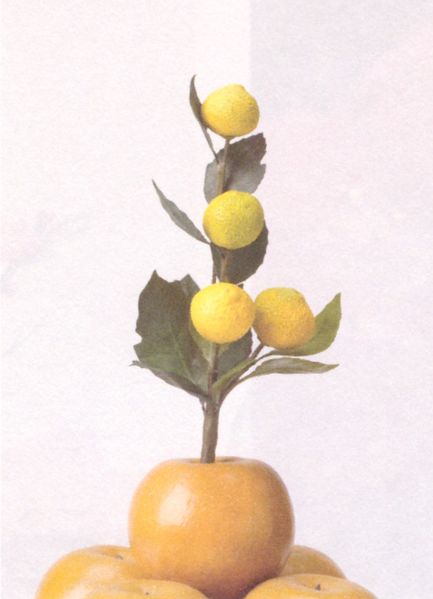 파일:유자화 194.jpg