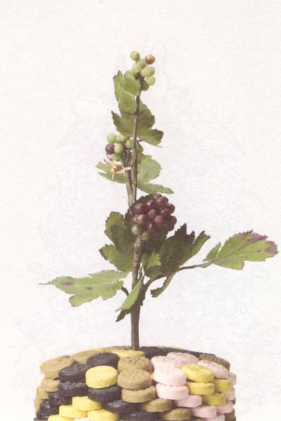 파일:포도화 198.jpg