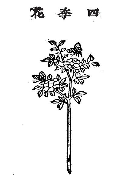 파일:06.사계화 정해.jpg