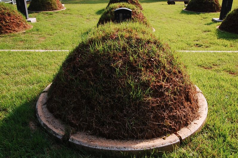 파일:SSNRT011 02.jpg