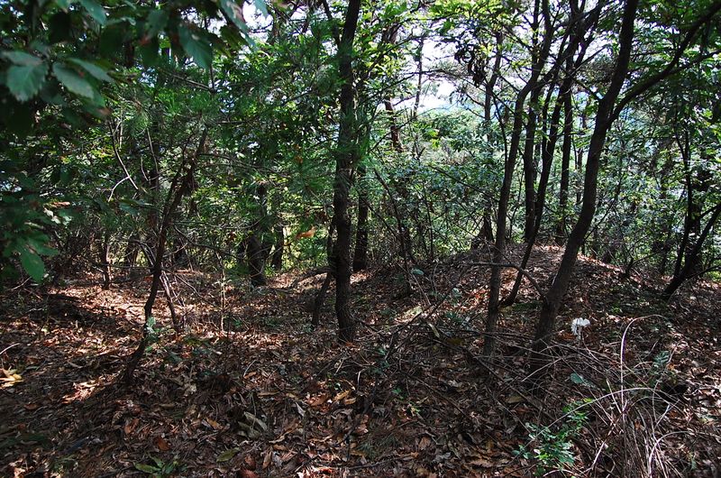 파일:OGPC Uihye Tashil site01.JPG