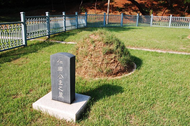 파일:SSNRT Insun01.JPG