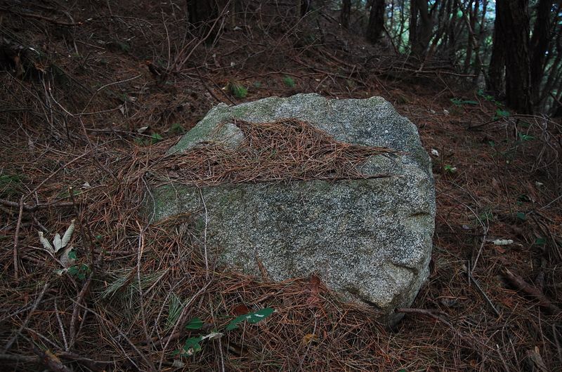 파일:OGPC Seonjo Tashil stone02.JPG