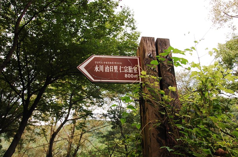 파일:OGPC Injong entry notice.JPG