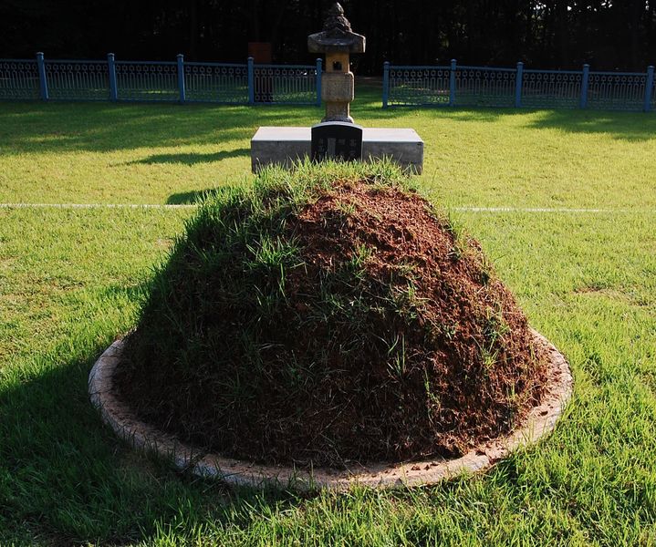 파일:SSNRT019 02.jpg