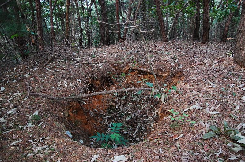 파일:OGPC MyeongSun Tashil site01.JPG