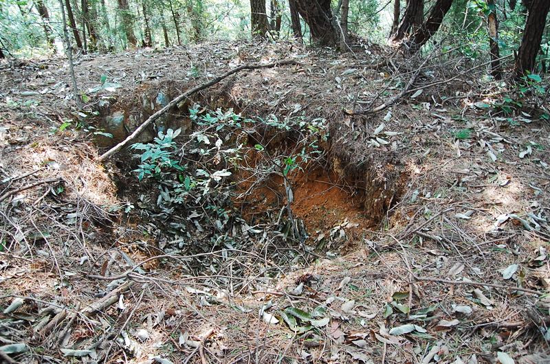 파일:OGPC MyeongSun Tashil site07.JPG