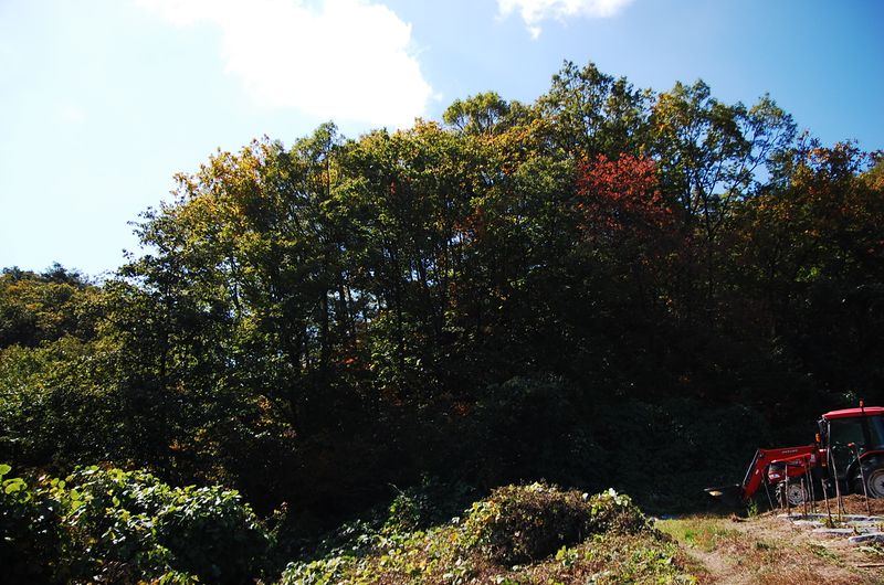 파일:OGPC SookJeong San View01.JPG