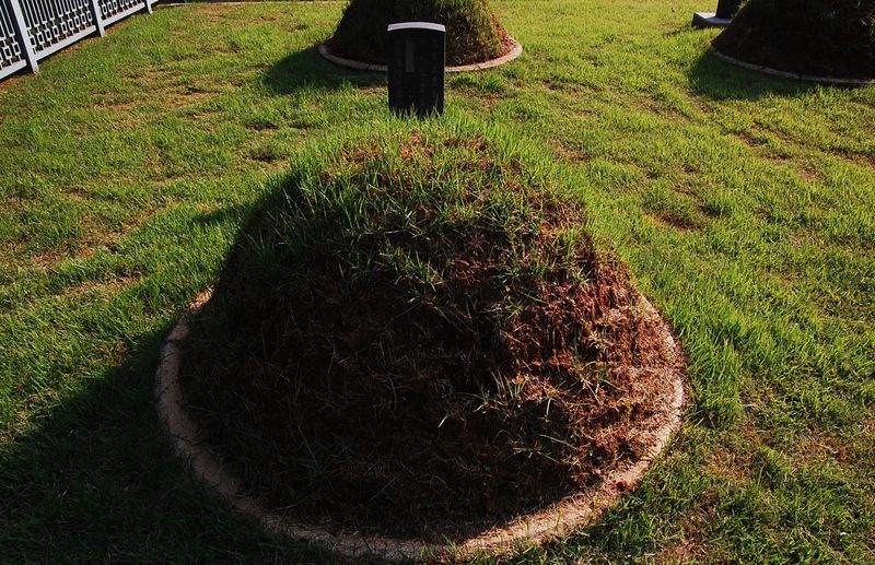 파일:SSNRT020 02.jpg