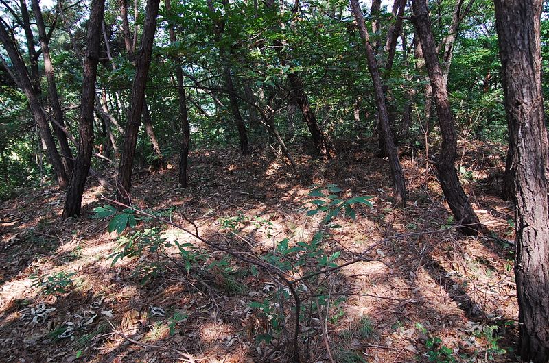 파일:OGPC Hwaryeong Tashil site01.JPG