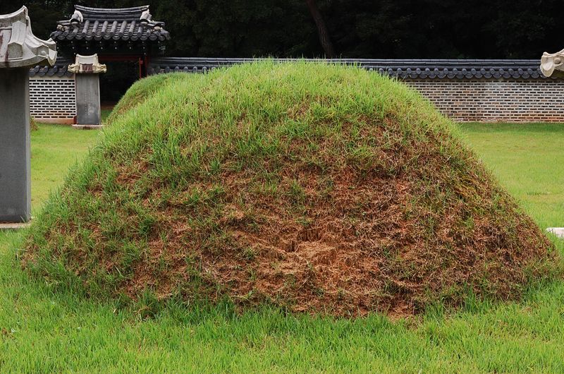 파일:SSNRT032 02.jpg