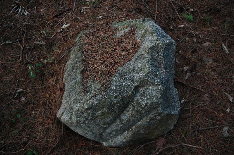 파일:OGPC Seonjo Tashil stone01.JPG