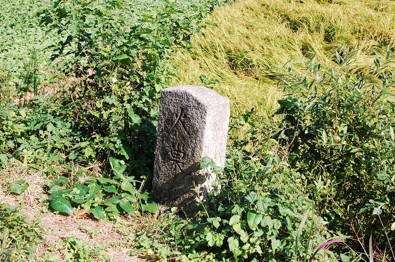 파일:OGPC Sunjong Hwaso fight.JPG