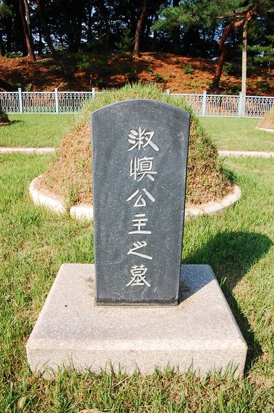 파일:SSNRT005 01.jpg