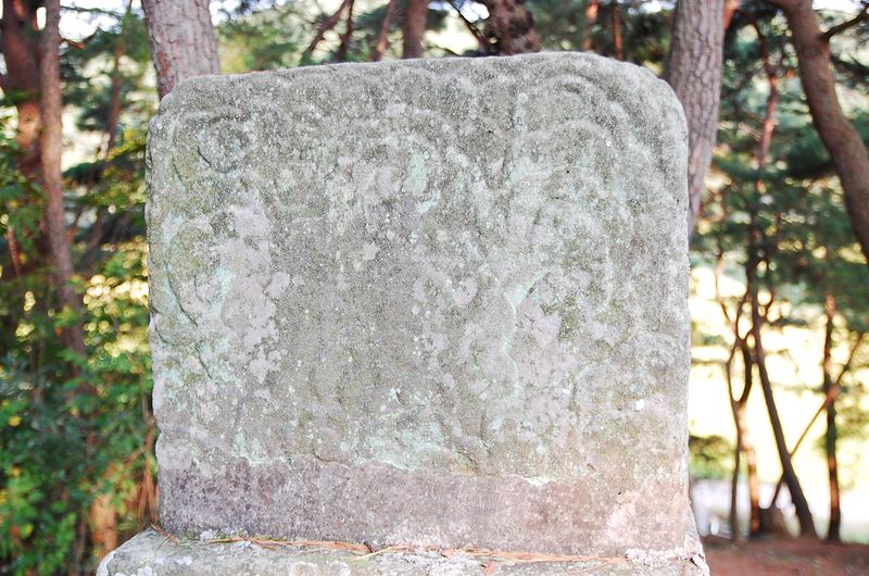 파일:OGPC Insung Yisu Back.JPG