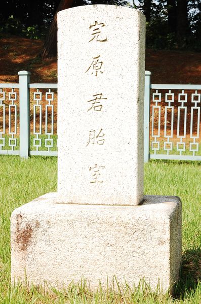 파일:SSNPC Wanwon01.JPG