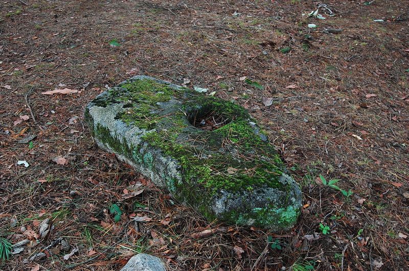 파일:OGPC Jeongjong Jeonseok1 back.JPG