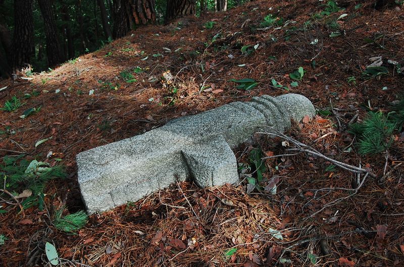 파일:OGPC Jeongjong NanganJuseok right.JPG