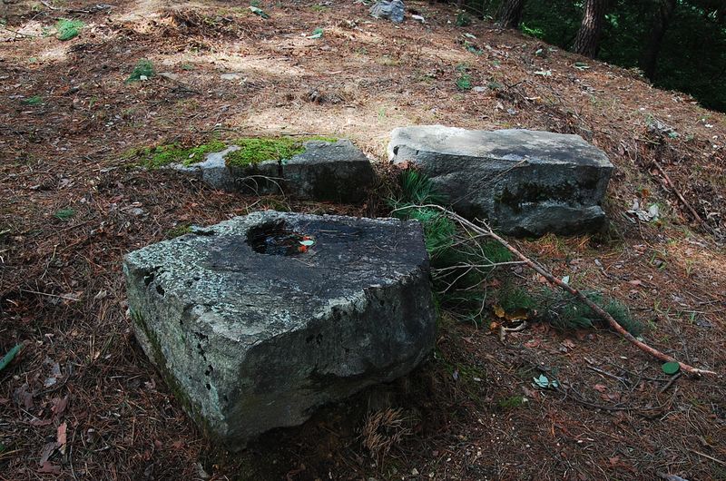 파일:OGPC Jeongjong Jeonseok2 Front.JPG