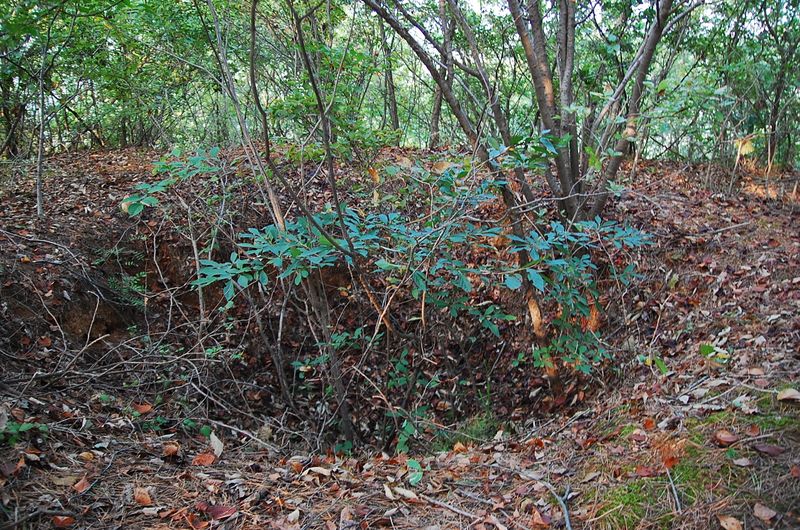 파일:OGPC Yonryeong Tashil site01.JPG