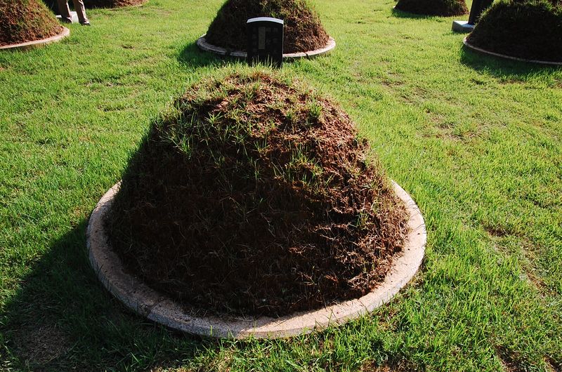 파일:SSNRT006 02.jpg