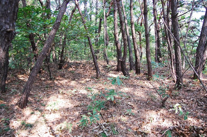 파일:OGPC Hwaryeong Tashil site03.JPG