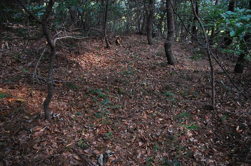 파일:OGPC Uihye Tashil site04.JPG