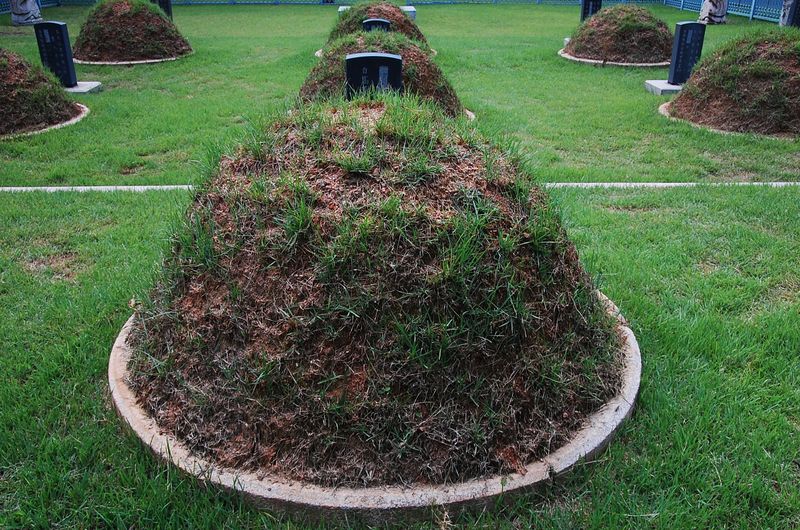 파일:SSNRT010 02.jpg