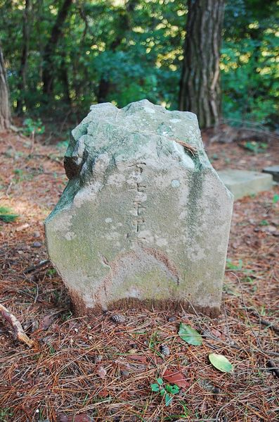 파일:OGPC Insung Bishin Back.JPG