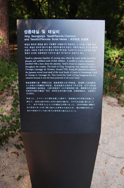 파일:OGPC008 06.jpg