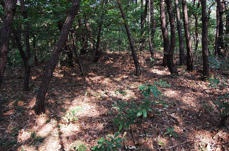 파일:OGPC Hwaryeong Tashil site02.JPG