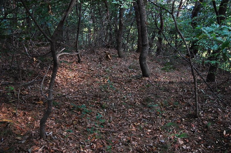 파일:OGPC Uihye Tashil site03.JPG