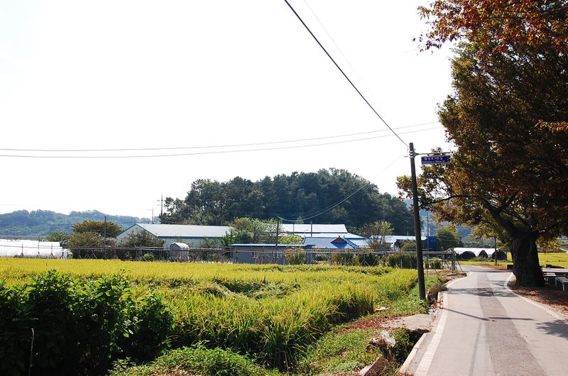 파일:OGPC Uihye san pano.JPG