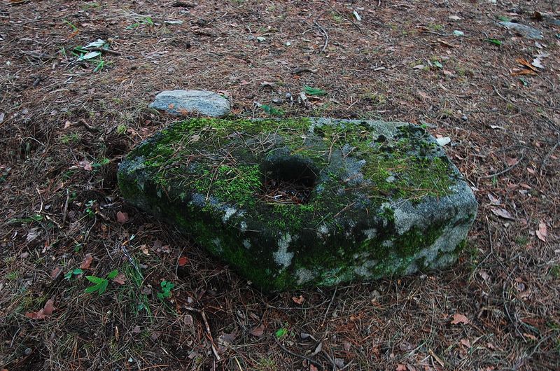 파일:OGPC Jeongjong04.jpg