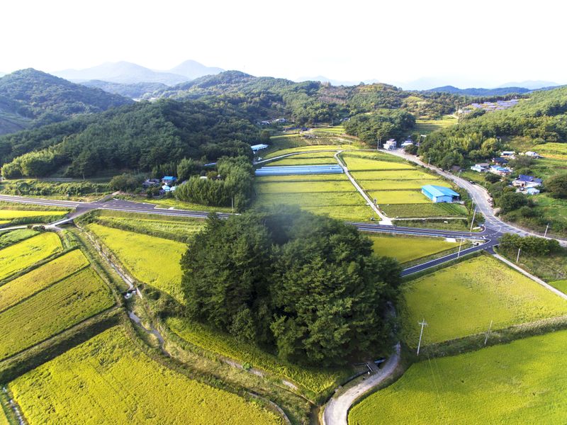 파일:OGPC Insung Sky View.jpg