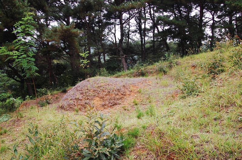 파일:OGPC Taejong02.jpg