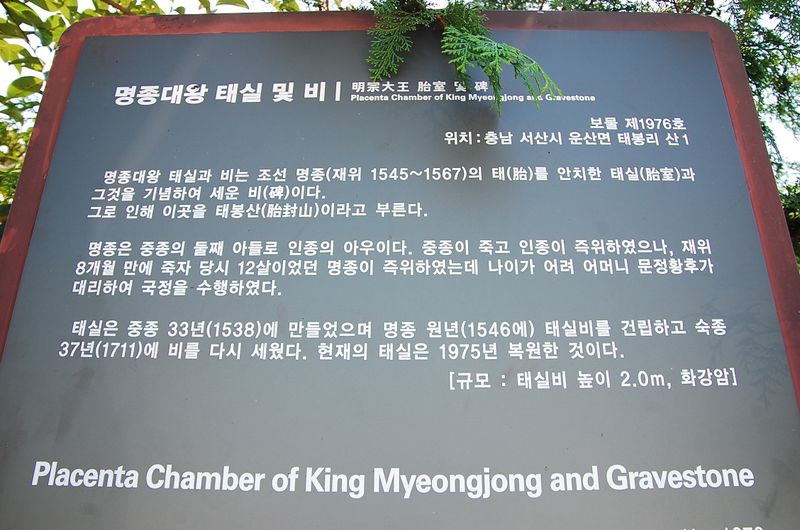 파일:OGPC Myeongjong entry board02.JPG