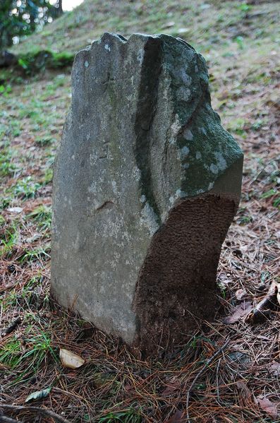 파일:OGPC Insung Bishin Side.JPG