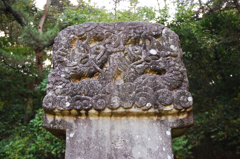 파일:OGPC004 07.jpg