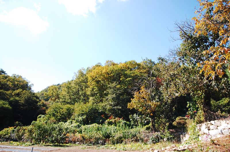 파일:OGPC SookJeong San View02.JPG