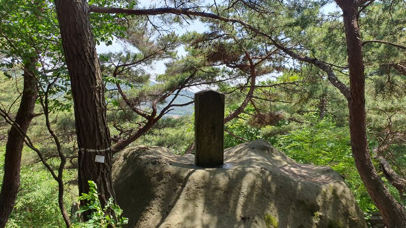 파일:20230517 140409.jpg