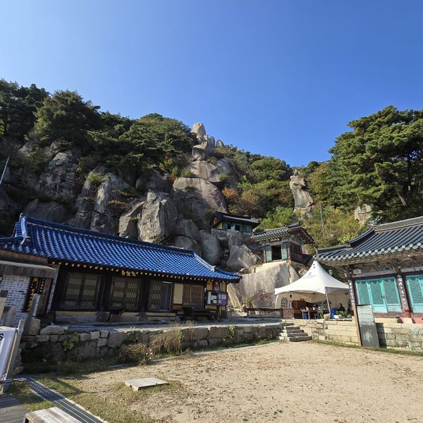 파일:20241024 132728.jpg