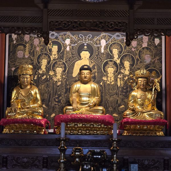 파일:20250728 141358.jpg