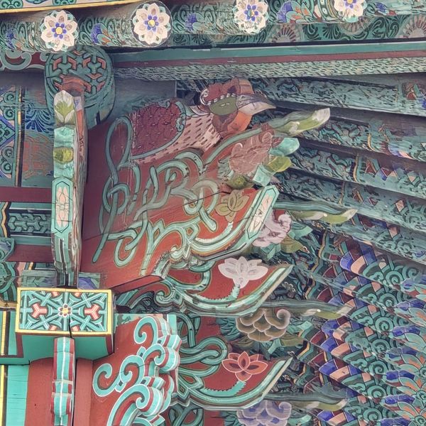 파일:20241021 155313.jpg