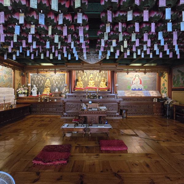 파일:20250728 141348.jpg